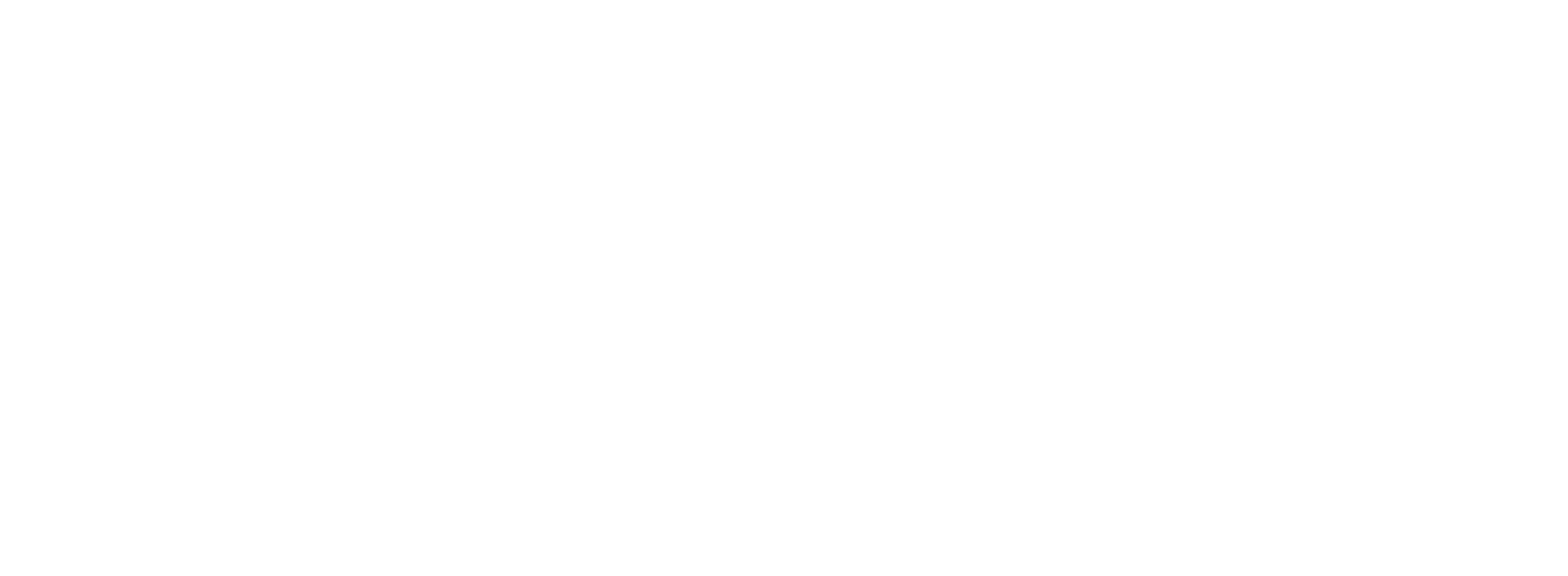 Ginga Nation Fest Logo
